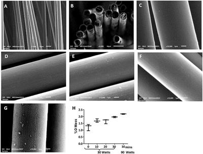 Biocompatibility and Application of Carbon Fibers in Heart Valve Tissue Engineering